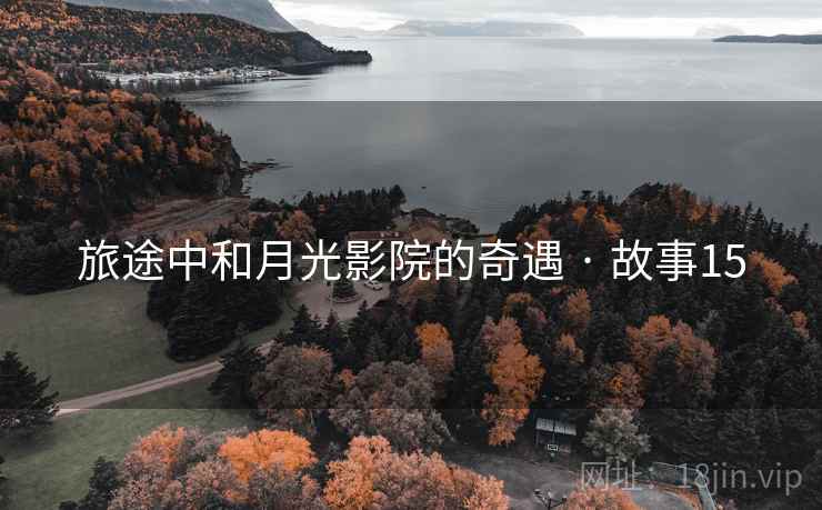 旅途中和月光影院的奇遇 · 故事15