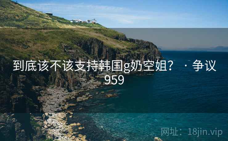 到底该不该支持韩国g奶空姐？ · 争议959